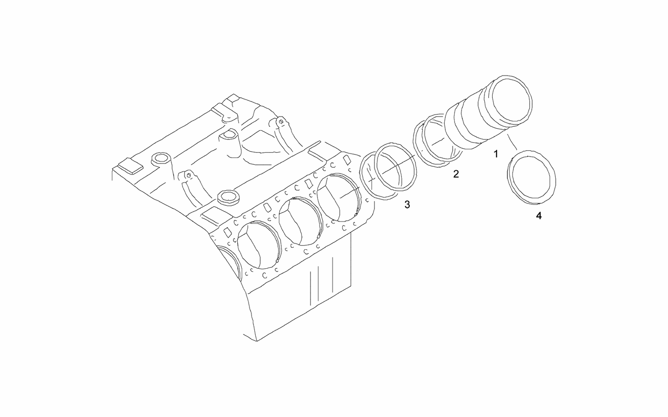 Exploded view of cylinder liner